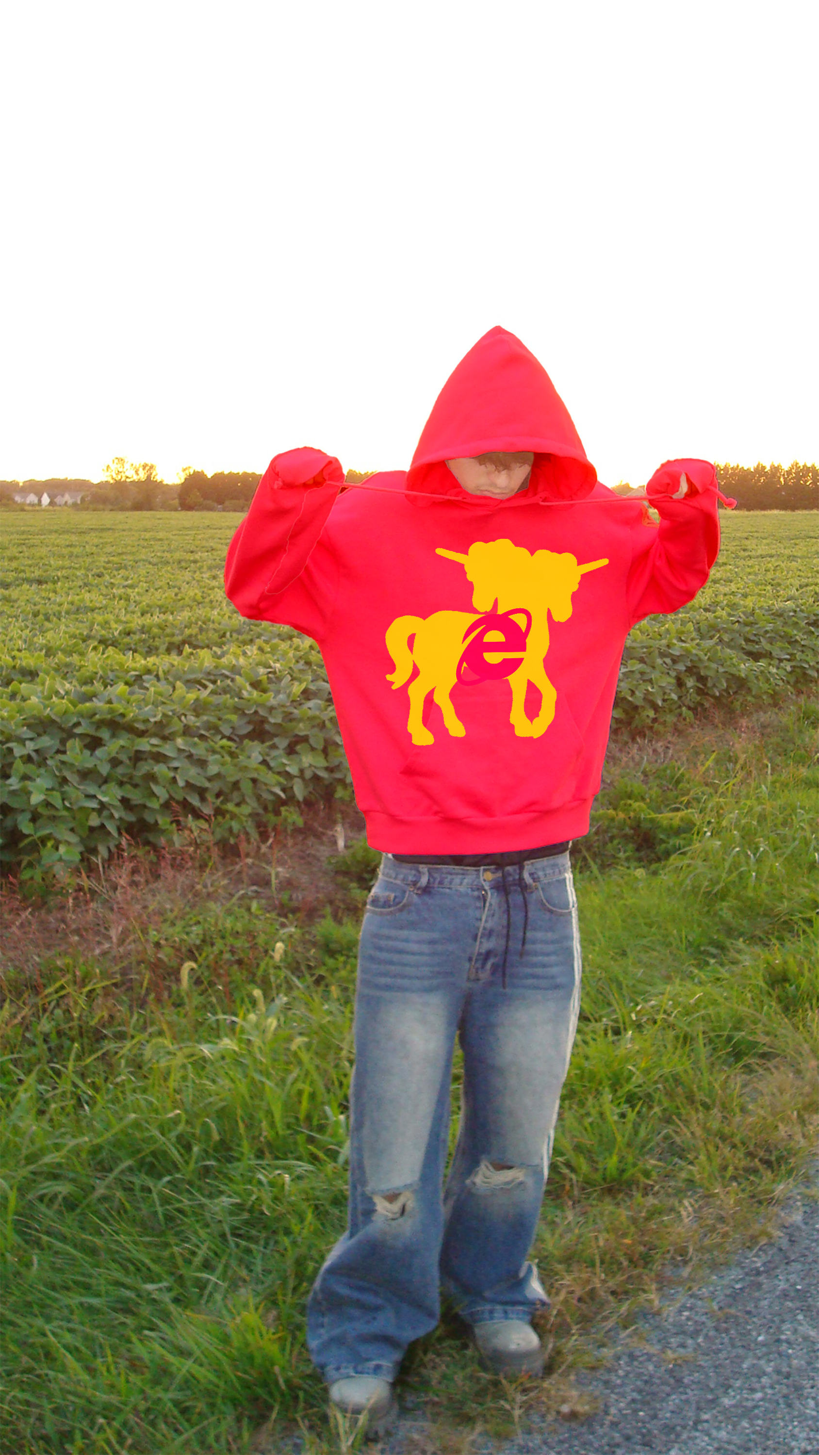 Unicorn Hoodie